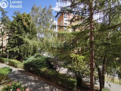 Prodej bytu 1+1 Chomutov, 17. listopadu č. 8
