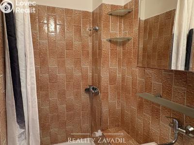 Аренда квартиры 2+1 Praha, Koubkova č. 10