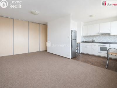 Rent apartment 1+1 Neratovice, Kojetická č. 2