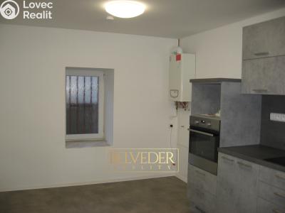 Rent apartment 2+KK Teplice, Sovova č. 2