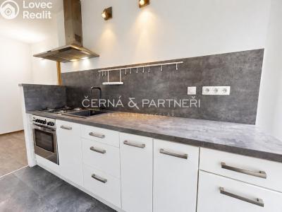 Rent apartment 2+1 Bílina, Sídliště Za Chlumem 768 č. 2