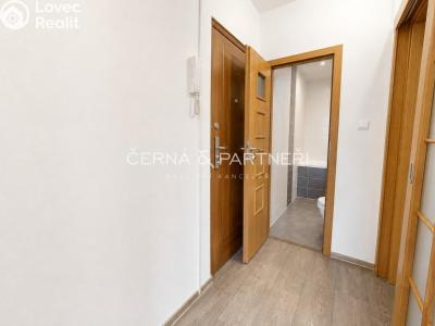 Rent apartment 2+1 Bílina, Sídliště Za Chlumem 768 č. 4