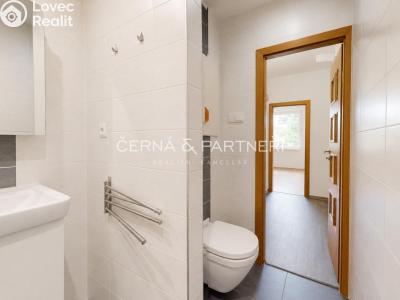 Rent apartment 2+1 Bílina, Sídliště Za Chlumem 768 č. 6