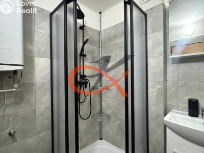 Pronájem bytu 2+1 Rožnov pod Radhoštěm, Boženy Němcové č. 17