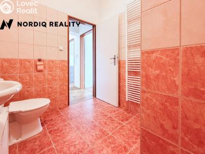 Rent apartment 2+KK Teplice, Spojenecká č. 8