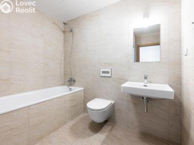 Rent apartment 2+KK Praha, U Mlýnského kanálu č. 6