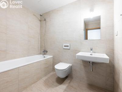 Rent apartment 2+KK Praha, U Mlýnského kanálu č. 9