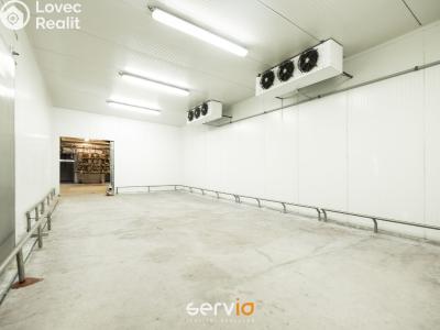 Аренда производственного цеха Tištín č. 4