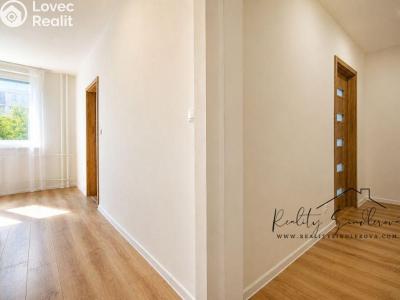 Продаж квартири 2+1 Přerov, Osmek č. 3