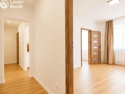 Продаж квартири 2+1 Přerov, Osmek č. 10
