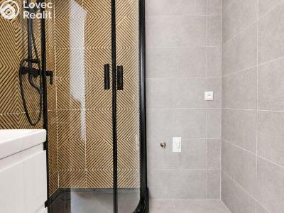 Продаж квартири 2+1 Přerov, Osmek č. 12