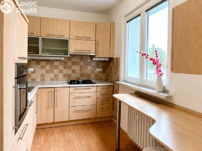 Sale apartment 3+1 Ostrava, Volgogradská č. 10