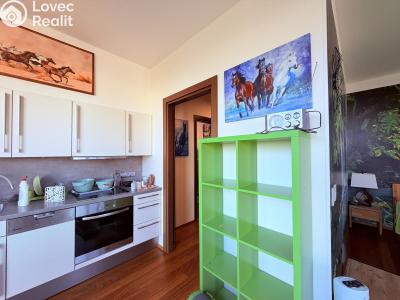 Rent apartment 1+KK Praha, K sídlišti č. 4