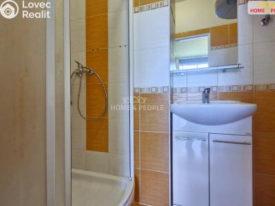 Sale apartment 3+1 Brno, Kneslova č. 5
