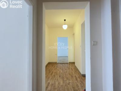 Sale apartment 3+1 Brno, Kneslova č. 7