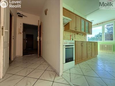 Rent apartment 2+1 Bílina, Sídliště Za Chlumem 794 č. 1