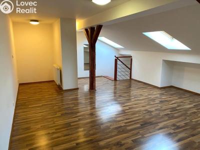 Rent apartment 2+KK Praha, Freyova č. 4