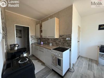 Rent apartment 2+1 Bílina, Sídliště Za Chlumem 801 č. 1