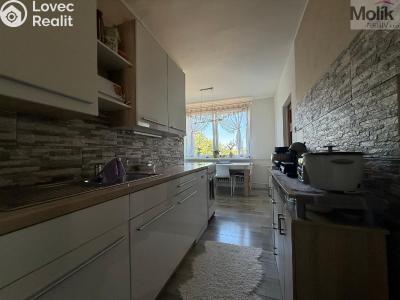 Rent apartment 2+1 Bílina, Sídliště Za Chlumem 801 č. 2