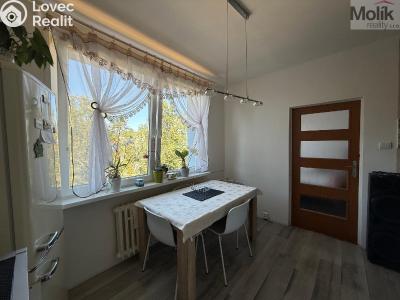 Rent apartment 2+1 Bílina, Sídliště Za Chlumem 801 č. 4