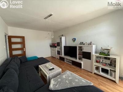 Rent apartment 2+1 Bílina, Sídliště Za Chlumem 801 č. 6