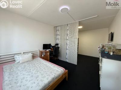 Rent apartment 2+1 Bílina, Sídliště Za Chlumem 801 č. 8