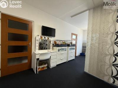 Rent apartment 2+1 Bílina, Sídliště Za Chlumem 801 č. 9
