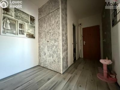 Rent apartment 2+1 Bílina, Sídliště Za Chlumem 801 č. 10