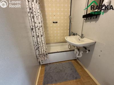Rent apartment 2+1 Tachov, Školní č. 7
