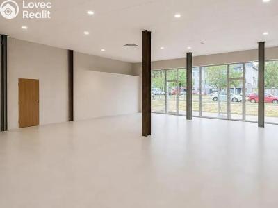 Rent commercial space Praha, V olšinách č. 4
