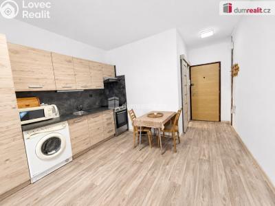 Rent apartment 1+1 Ústí nad Labem, Peškova č. 2