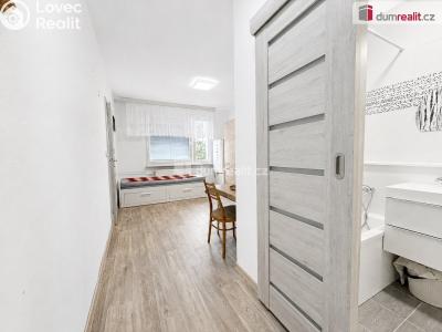 Rent apartment 1+1 Ústí nad Labem, Peškova č. 3