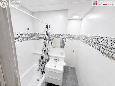 Rent apartment 1+1 Ústí nad Labem, Peškova č. 4