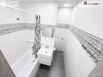Rent apartment 1+1 Ústí nad Labem, Peškova č. 5