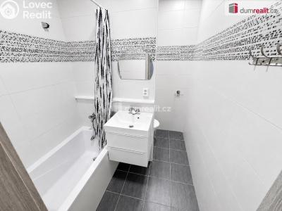 Rent apartment 1+1 Ústí nad Labem, Peškova č. 10