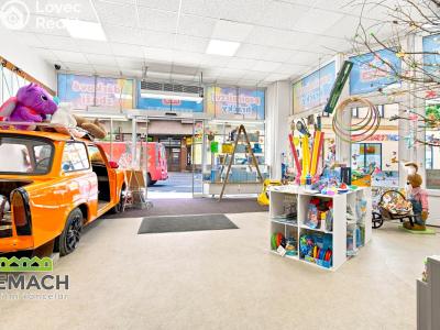 Rent commercial space Náchod, Kamenice č. 14