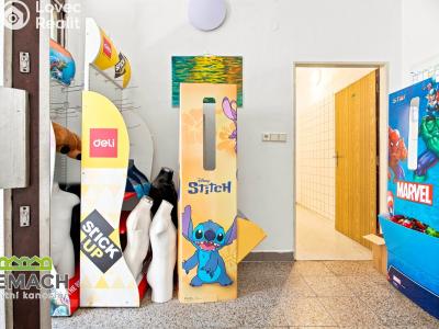 Rent commercial space Náchod, Kamenice č. 6