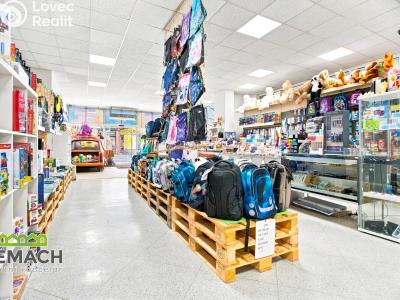 Rent commercial space Náchod, Kamenice č. 10