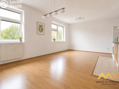 Pronájem bytu 2+KK Hradec Králové, Pražská třída č. 6