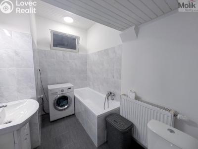 Продаж сімейного будинку Litvínov č. 4
