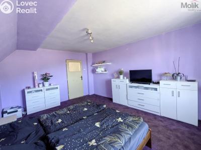 Продаж сімейного будинку Litvínov č. 19