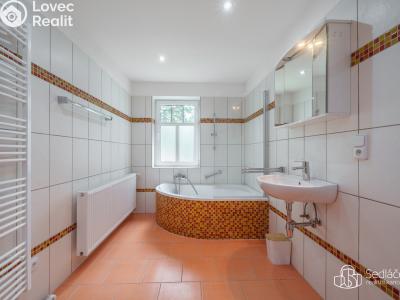Sale cottage Kraslice č. 3