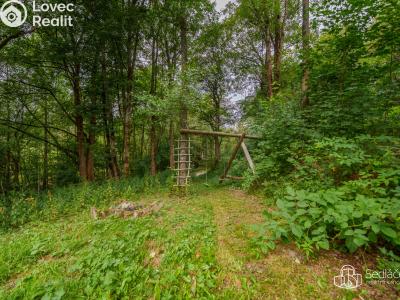 Sale cottage Kraslice č. 35