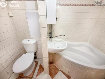 Rent apartment 2+1 Duchcov, Sadová č. 9