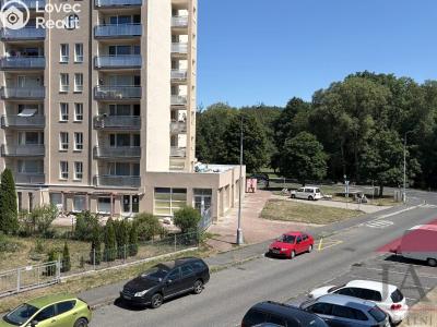 Продажа квартиры 2+1 Sušice, Kaštanová 1257 č. 14