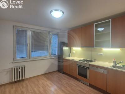 Аренда квартиры 1+1 České Budějovice, Mánesova 1702 č. 1