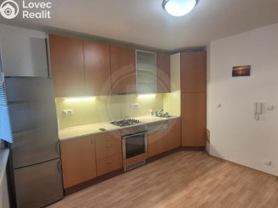 Аренда квартиры 1+1 České Budějovice, Mánesova 1702 č. 2