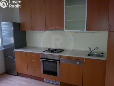 Аренда квартиры 1+1 České Budějovice, Mánesova 1702 č. 3