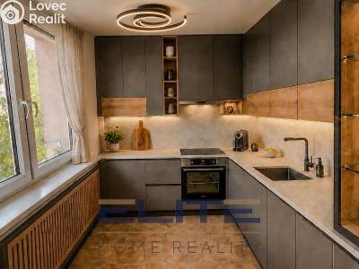 Sale apartment 3+1 Liberec, Na Žižkově č. 21