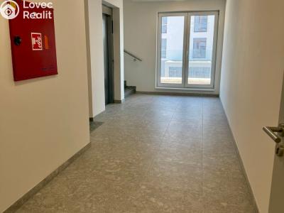 Аренда квартиры 1+KK Třebíč, Modřínová 494 č. 5